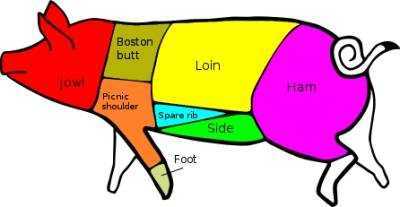 Cuts of Lamb