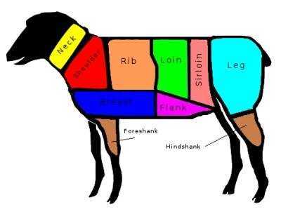 Cuts of Lamb