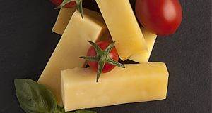 Cheese